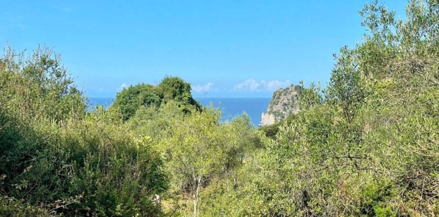 4162m² Land en Corfu, Greece No. 110041