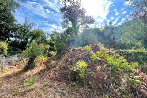 4162m² Land in Corfu, Greece No. 110041 11