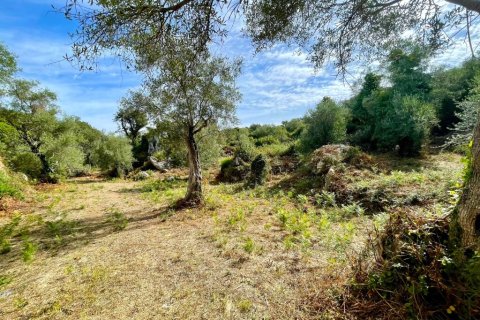 4162m² Land in Corfu, Greece No. 110041 2