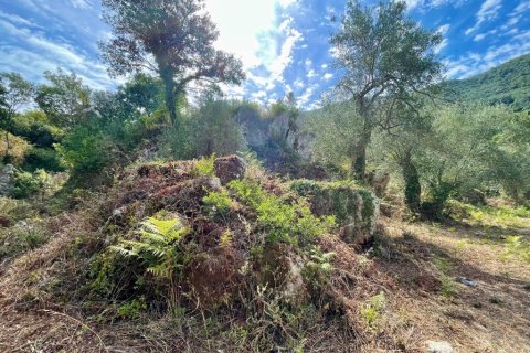 4162m² Land in Corfu, Greece No. 110041 6