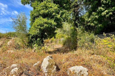 4162m² Land in Corfu, Greece No. 110041 13