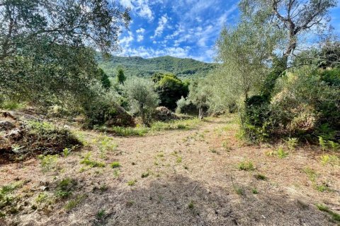 4162m² Land in Corfu, Greece No. 110041 9