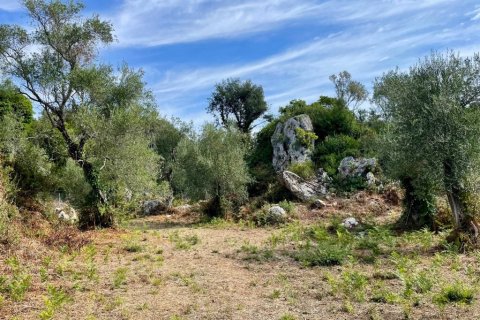 4162m² Land in Corfu, Greece No. 110041 10