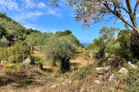 4162m² Land in Corfu, Greece No. 110041 7
