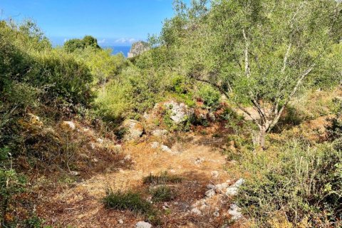 4162m² Land in Corfu, Greece No. 110041 3