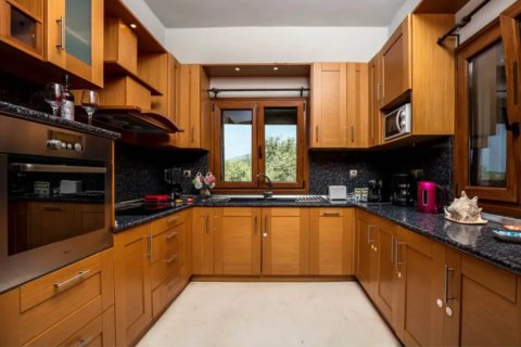 7 rooms Villa in Thasos, Greece No. 109154 10