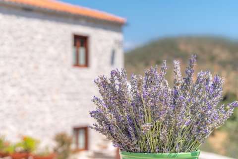 7 rooms Villa in Argolis, Greece No. 107613 12