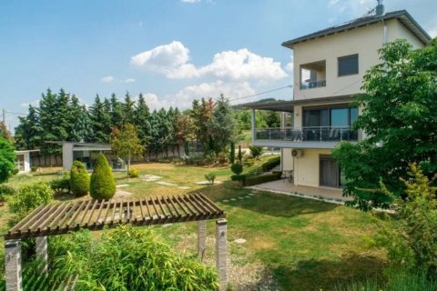 8 rooms Apartment in Thessaloniki, Greece No. 55836 3