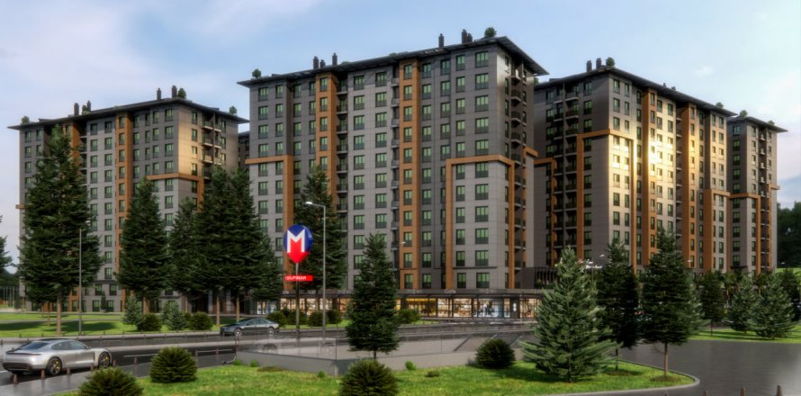 2 bedrooms Apartment in Duong Kinh, Vietnam No. 21728