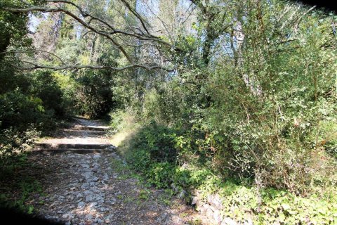 20700m² Land in Corfu, Greece No. 57900 7