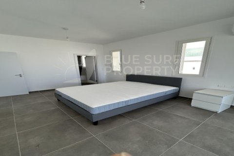 4 bedrooms Villa in Protaras, Cyprus No. 104850 12