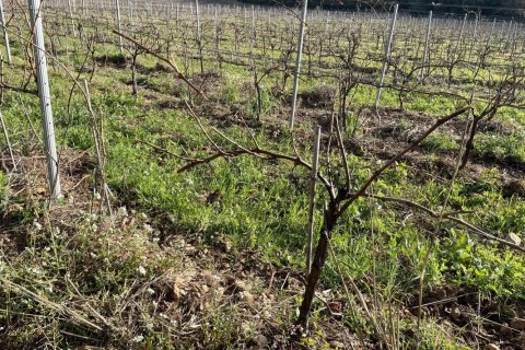 1200m² House in Puget-Ville, France No. 68919 15