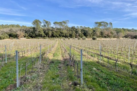 1200m² House in Puget-Ville, France No. 68919 14