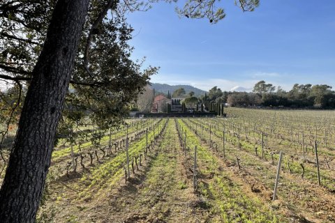 1200m² House in Puget-Ville, France No. 68919 19