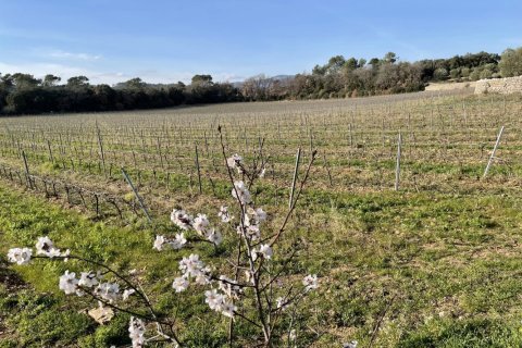 1200m² House in Puget-Ville, France No. 68919 18