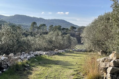 1200m² House in Puget-Ville, France No. 68919 2