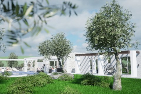 Вилла с 2 спальнями в Ханья, Греция №79792 10