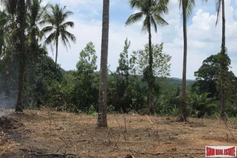 27536m² Land en Phang Nga, Thailand No. 95958 4