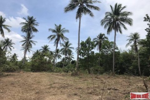 27536m² Land en Phang Nga, Thailand No. 95958 3
