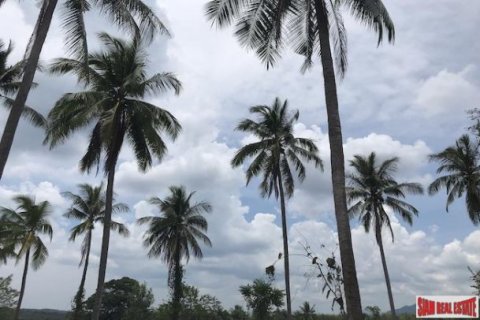 27536m² Land en Phang Nga, Thailand No. 95958 2