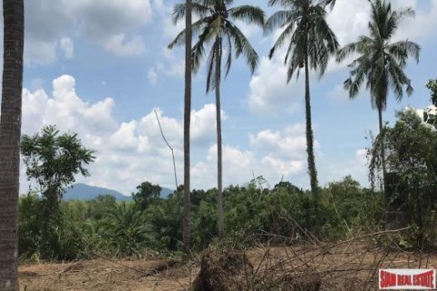 27536m² Land en Phang Nga, Thailand No. 95958 5