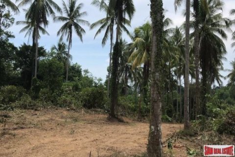 27536m² Land en Phang Nga, Thailand No. 95958 6