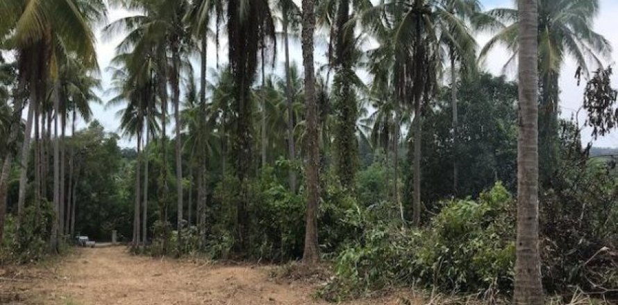 27536m² Land en Phang Nga, Thailand No. 95958