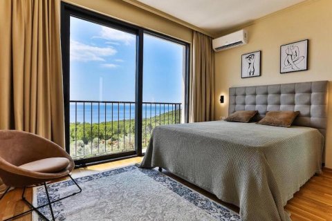 Дом с 4 спальнями в Будва, Черногория №84199 3