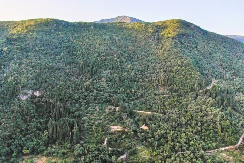 90000m² Land à Corfu, Greece No. 55968 16