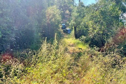 90000m² Land à Corfu, Greece No. 55968 11