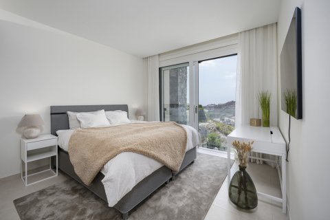 2 dormitorios Apartment en Cat Trinh, Vietnam No. 27538 15