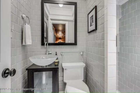 6 bedrooms House in Glenwood Springs, USA No. 104595 21