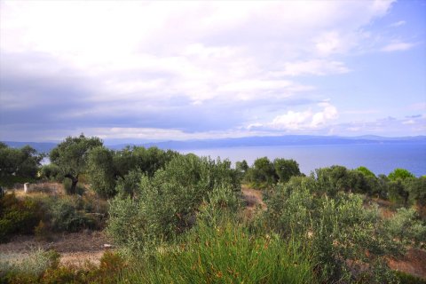 10 rooms Villa in Chalkidiki, Greece No. 59403 23