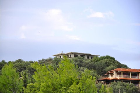 10 rooms Villa in Chalkidiki, Greece No. 59403 21