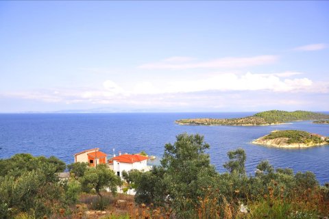 10 rooms Villa in Chalkidiki, Greece No. 59403 2