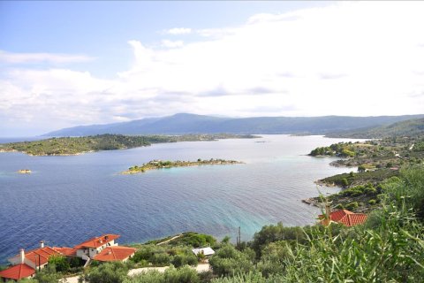 10 rooms Villa in Chalkidiki, Greece No. 59403 24