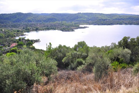 10 rooms Villa in Chalkidiki, Greece No. 59403 22