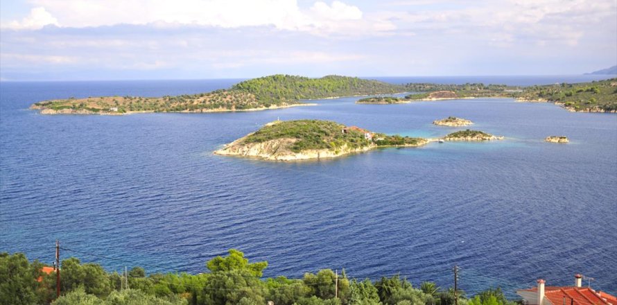 10 rooms Villa in Chalkidiki, Greece No. 59403