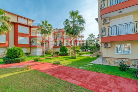 5 rooms Appartement à Chau Lang, Vietnam No. 14055 6