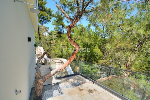 3 chambres Villa à Phuoc Tuy, Vietnam No. 88740 7