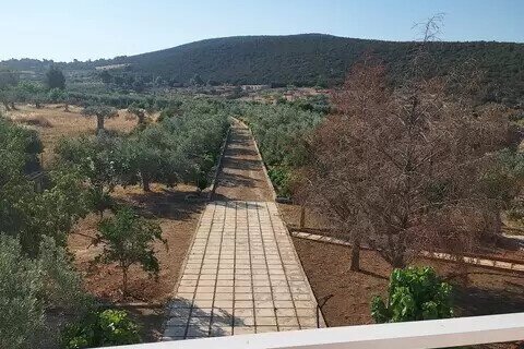4 bedrooms House in Ermioni, Greece No. 55876 11