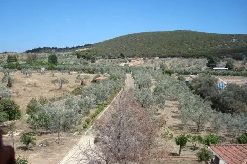 4 bedrooms House in Ermioni, Greece No. 55876 15