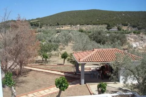 4 bedrooms House in Ermioni, Greece No. 55876 19