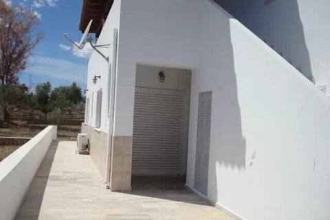 4 bedrooms House in Ermioni, Greece No. 55876 20