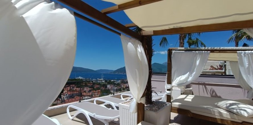 Studio Apartment in Tivat, Montenegro No. 66796