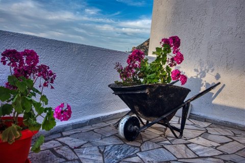 15 rooms Hotel in Agios Nikolaos, Greece No. 58674 15