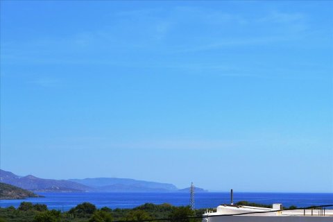 15 rooms Hotel in Agios Nikolaos, Greece No. 58674 9