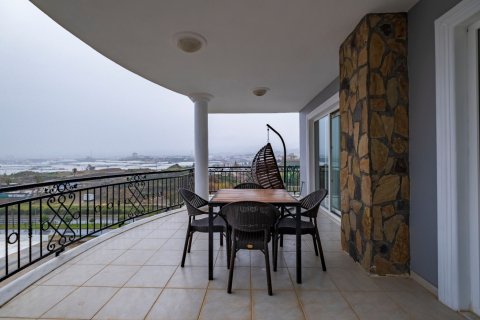 4 bedrooms Villa in Nong Ha, Vietnam No. 13799 22