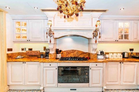 Пентхаус с 4 спальнями в Аль Тебин Аль Шаабия Хаузин, Вьетнам №95060 13