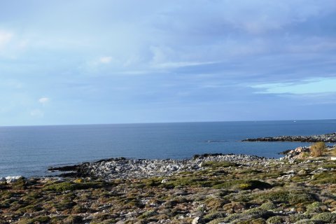 19300m² Land in Chania, Greece No. 58285 1